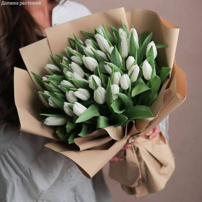 Букет из 51 тюльпана белого в упаковке - Dolinasad.by