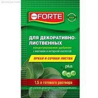 ЖКУ Красота д/декорат.листв.раст. 10мл - Dolinasad.by