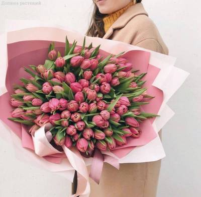 Букет из 101 розовых  тюльпанов в упаковке - Dolinasad.by