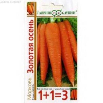 Морковь Золотая осень 1+1=3 фото