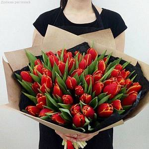 Букет из 51 красных тюльпанов в упаковке - Dolinasad.by