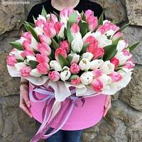 Букет из 101 тюльпанов микс в упаковке - Dolinasad.by