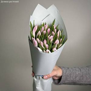 Букет из 31 тюльпана розового в упаковке - Dolinasad.by
