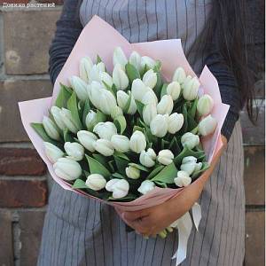 Букет из 39 тюльпанов белых в упаковке - Dolinasad.by