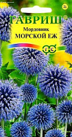 Мордовник Морской еж фото