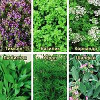 Кухонные пряности К РЫБЕ фото