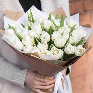 Букет из 39 белых тюльпанов в упаковке - Dolinasad.by