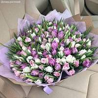 Букет из 101 тюльпанов микс в коробке - Dolinasad.by