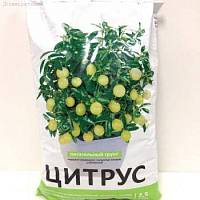 Грунт для цитрусовых фото