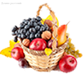Плодовые Деревья и Кустарники Плодовые Деревья и Кустарники - Dolinasad.by