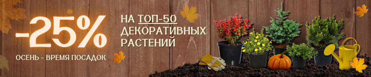 Акция на топ 50 декоративных Акция на топ 50 декоративных
