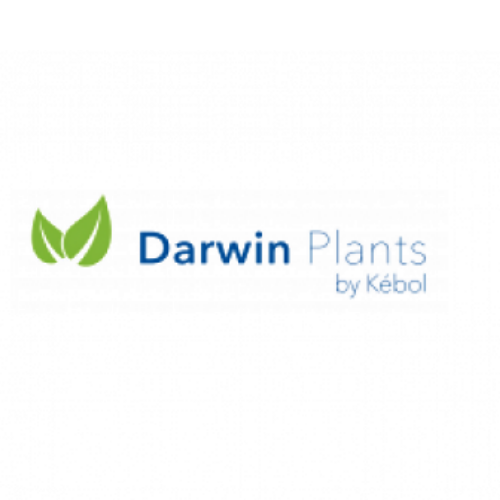 Darwin Plants (Голландия)